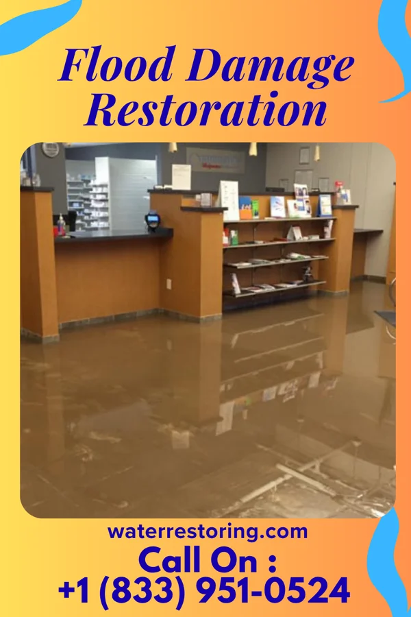 Flood Damage Restoration in Dane, WI