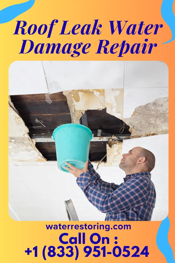 Roof Leak Water Damage Repair in Dane, WI